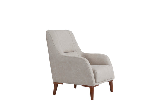 Spring Sofa Set